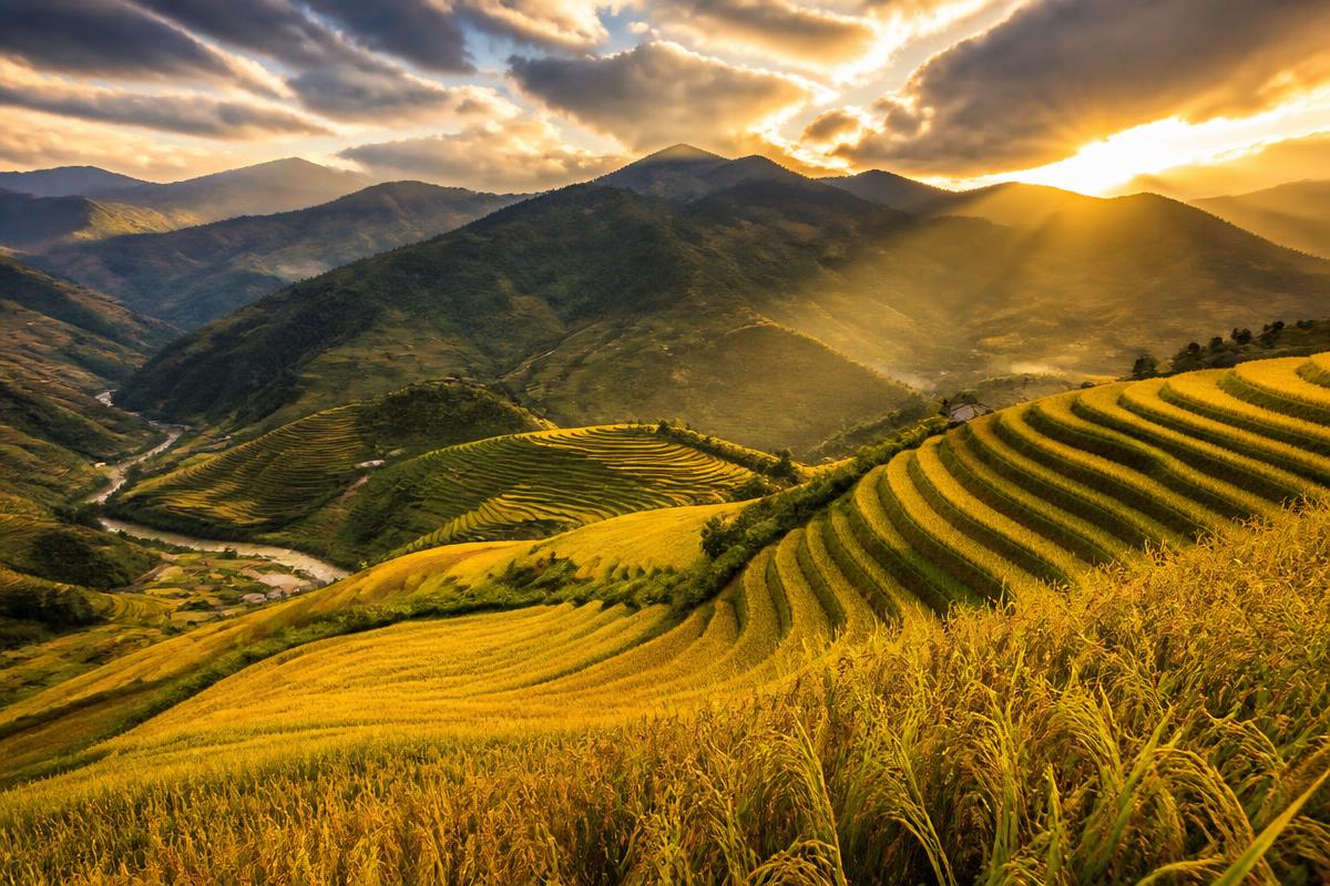 Mù Cang Chải